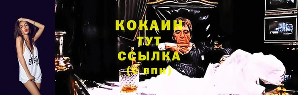 ECSTASY Лабытнанги