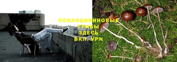 метадон Кукмор