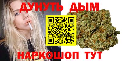 сатива Волгодонск