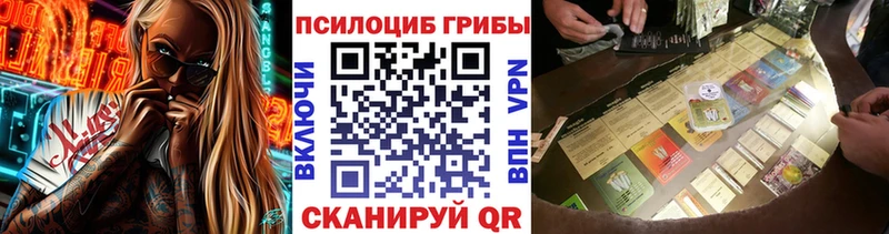сколько стоит  Тутаев  Галлюциногенные грибы Magic Shrooms 