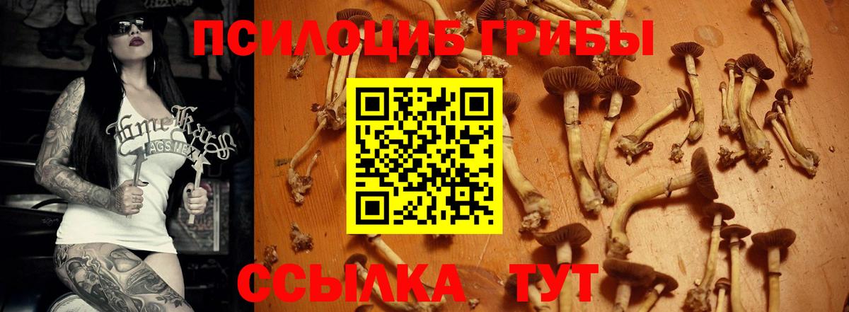 Псилоцибиновые грибы мухоморы Тутаев